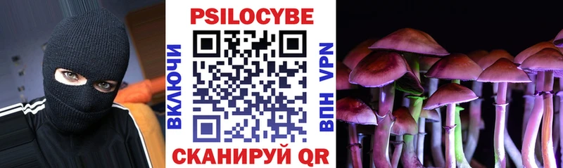 Псилоцибиновые грибы Psilocybine cubensis Каменногорск